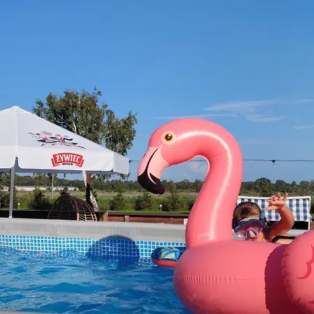 Staly Lad * Darlowko