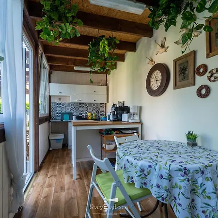 Orman Evi Staly Lad Darlowko